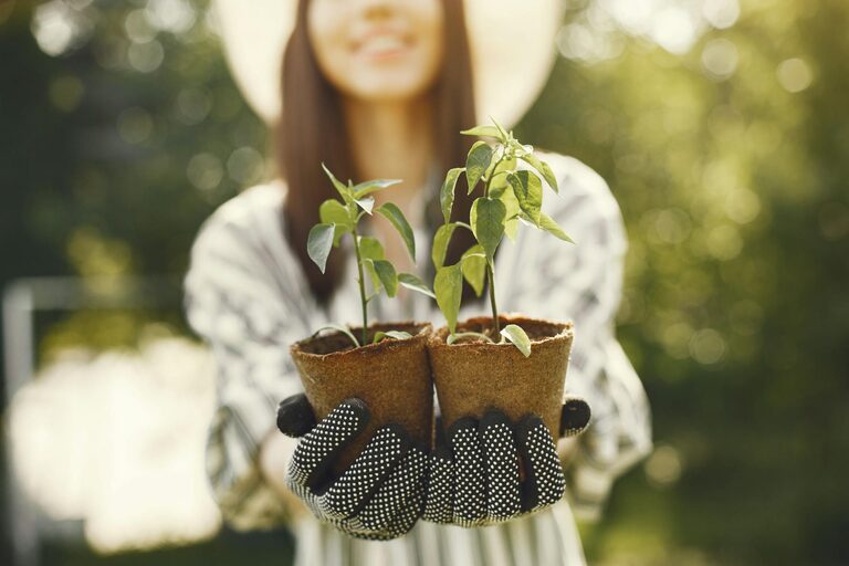 Tips for Creating a Sustainable and Eco-Friendly Home Garden