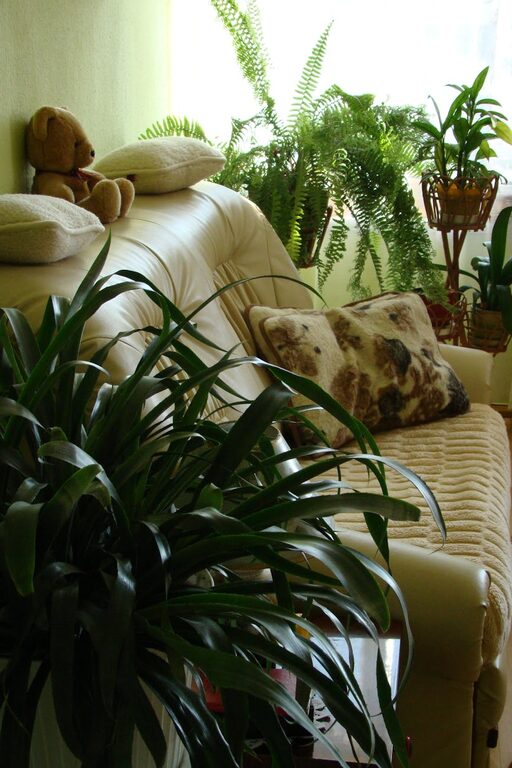 Easy Tips for Creating a Relaxing Home Environment to Boost Well-being